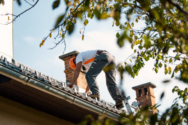 Best Best Roofing Contractors  in Eureka, MT