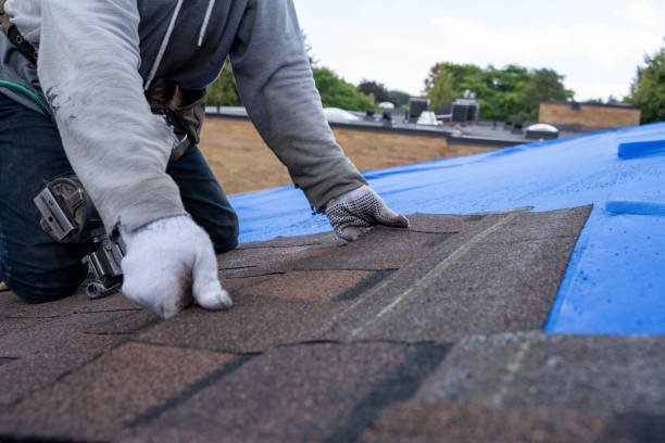 Best Emergency Roof Repair  in Eureka, MT