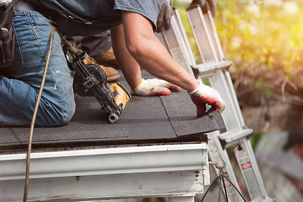 Best Roof Gutter Cleaning  in Eureka, MT